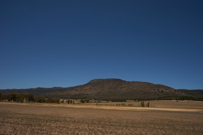 Brown fields under the blue sky during the day
